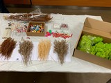 鎢絲乾花燈泡小夜燈