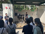 馬術運動推廣活動 – 參觀騎術學校