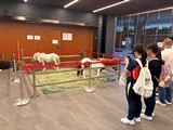 灣仔民政事務處 Pop-up 自修室2026