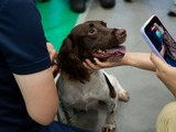 參觀警犬隊訓練學校