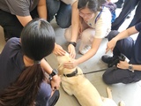 參觀警犬隊訓練學校
